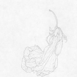 Blüte 1