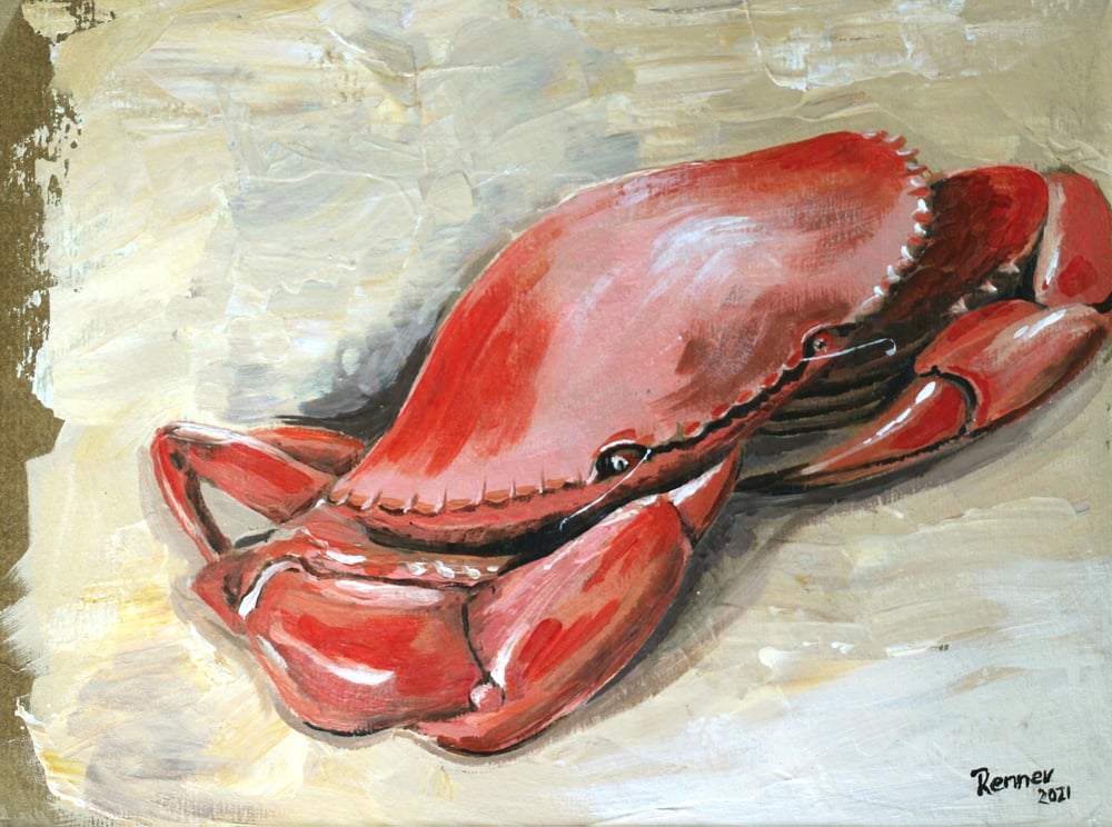 Schalentier, Acryl