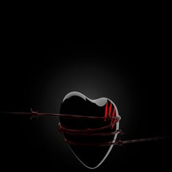 Torn Heart