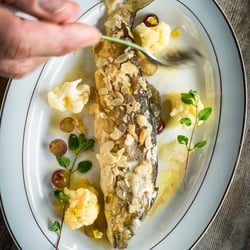 Forelle in Mandelbutter
