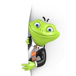 3D Character Frog for representation of the company