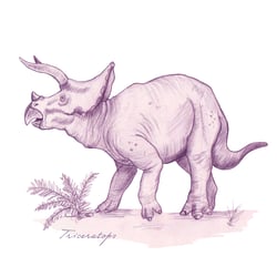 Triceratops