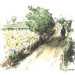 DER LANGE WEG