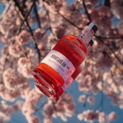 Momotaro Gin 2