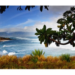 Maui