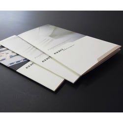 Flyer Exact (CD)