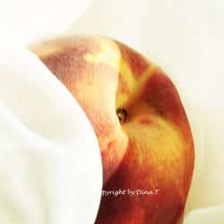 Food 23.08.14