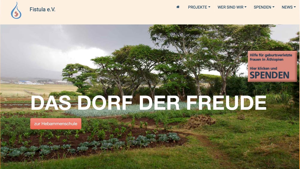 Website für Fistula e.V.
