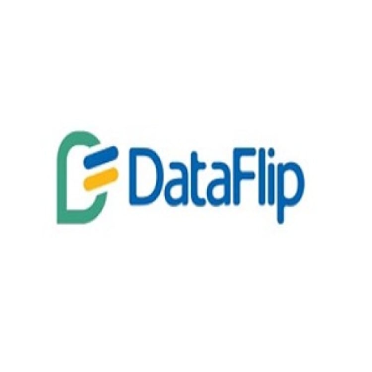 Data Flip