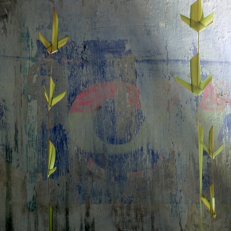 Jutta Hupke