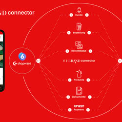 VI BRAND CONNECTOR: Schnittstelle zwischen SAP byDesign und Shopware 6