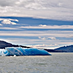 Patagonia Exposition 2