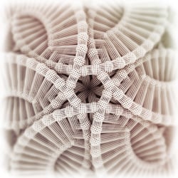 Geometrische Illustration