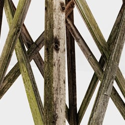 Crosslines XXV
