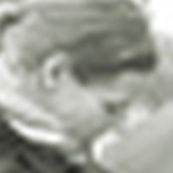 Tierärztin Dr. Maria Bergmann