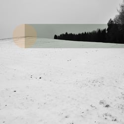 PFG/05