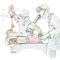 Zertifizierung jeglichen Arbeitsmaterials ..