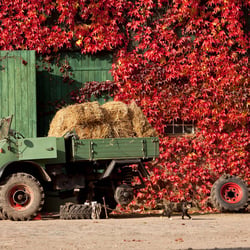 Unimog, Merceds Benz