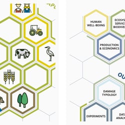 Infografik – Human—Wildlife Nexus 3