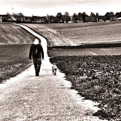 The man and his dog