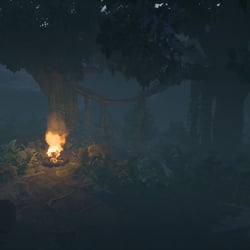 Amazonas_Forest_Shot_10