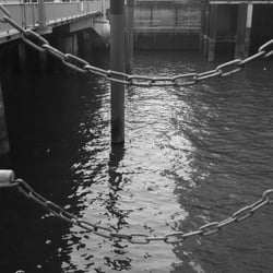 Hafencity – and more 2014
