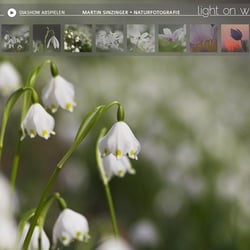 Martin Sinzinger – Naturfotografie – Fotogalerie