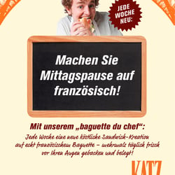 schwalbenfisch katz-4