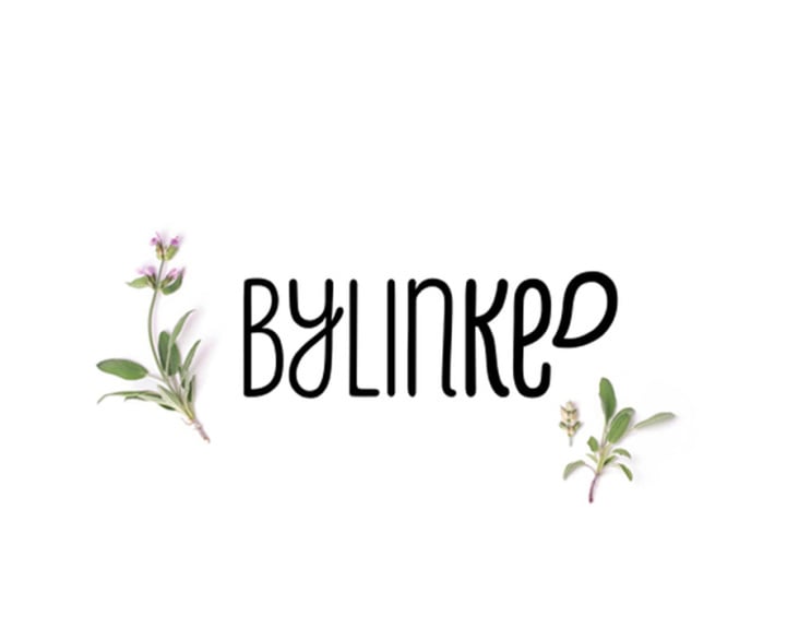 Logo  / Herbs in the city