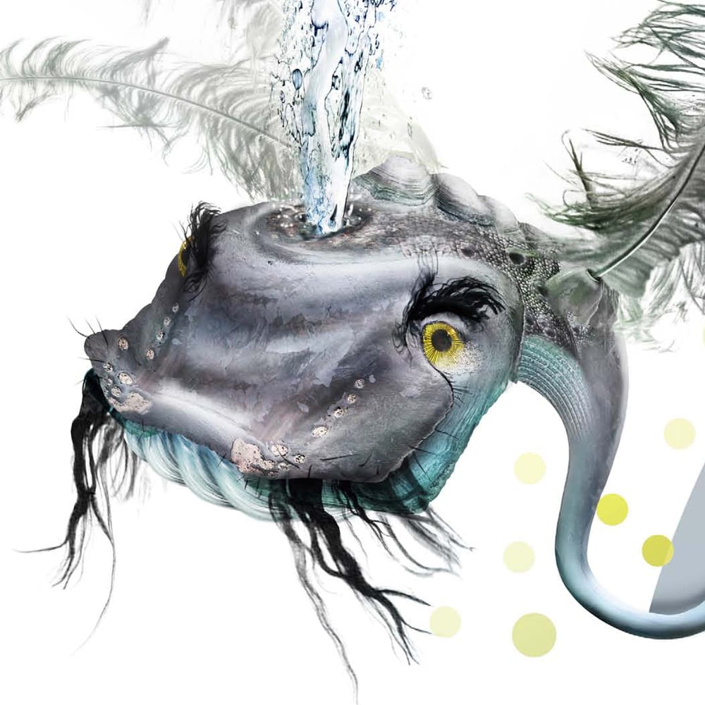 WebWhale