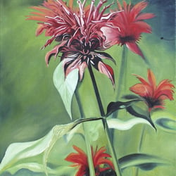 Indianernesseln, Öl a. Lw., 60×50 cm, 2005