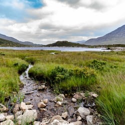 Schottland 1