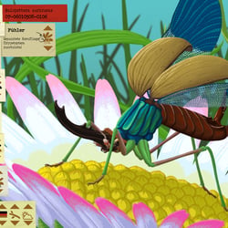 Insect Builder Spiel