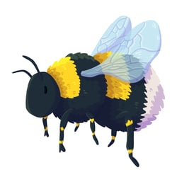 bumblebee