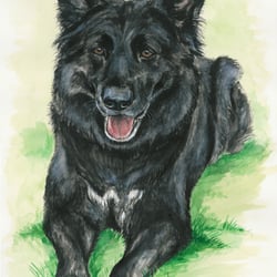Aquarell