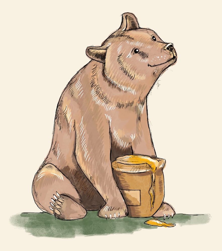 Bär mit Honig (analog)