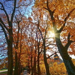 Herbst in Franken