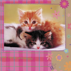 cats4a