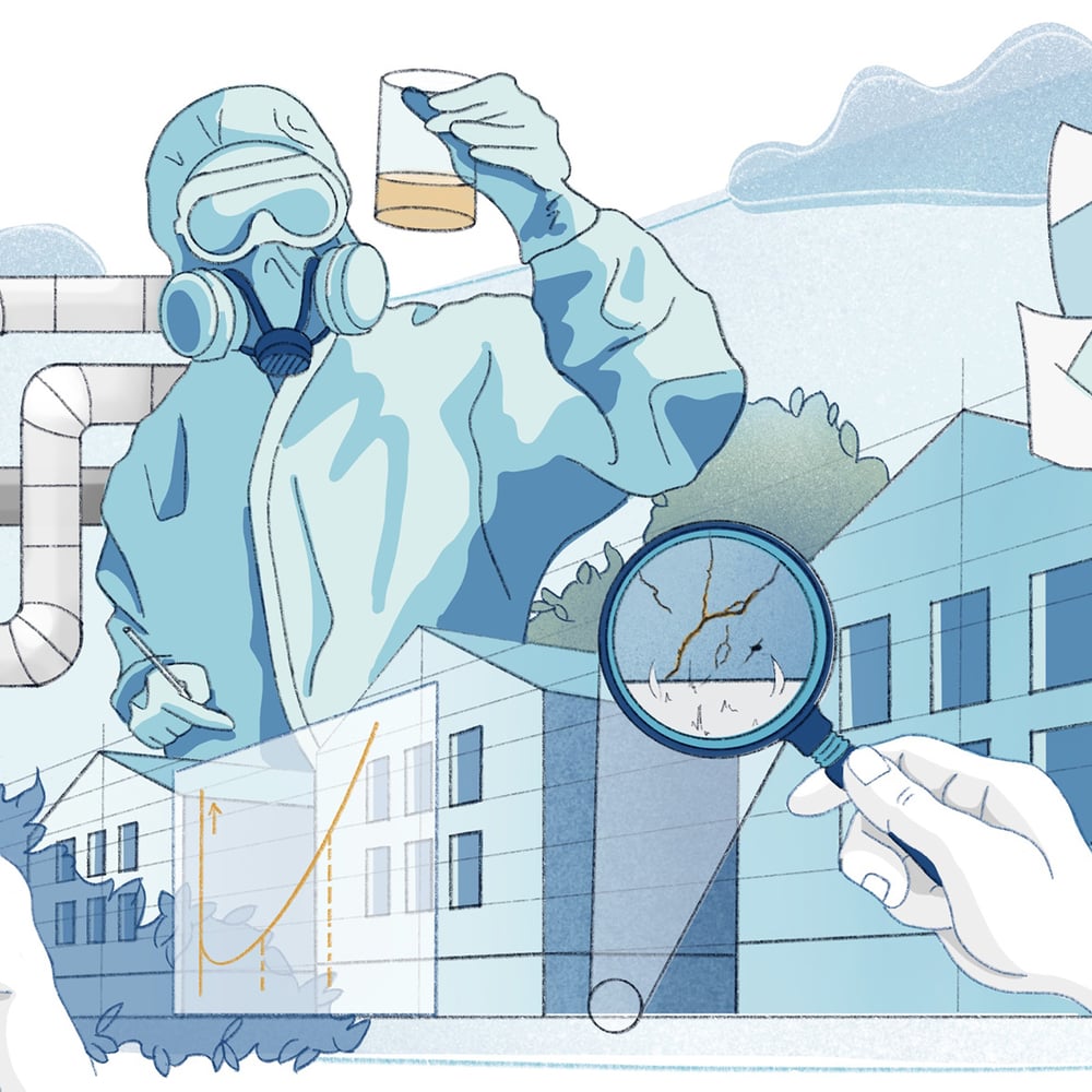 Web Design & Illustration IBL