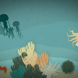 Screenshot Erklärvideo Biodiversität