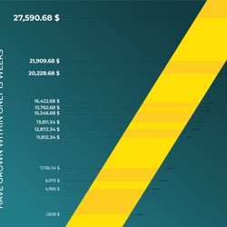 Infografik GOLDEN PEAK Investment