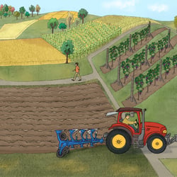 Landwirtschaftsszene heute (Neckar- und Taubergäuplatten)