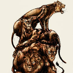 Posterdesign: Lions