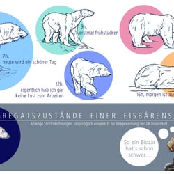 Eisbär