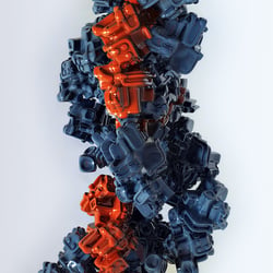 onea