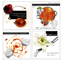 Illustrationen Michele Ormas