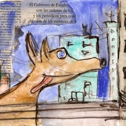 city dog