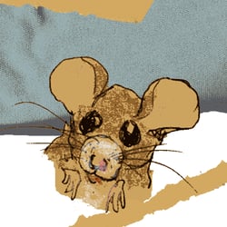 Kinderbuch Maus und Piep Sabrina Romstätter-Autor und Illustrator