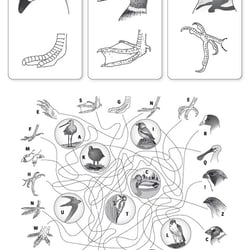 Zeichnungen Biologie
