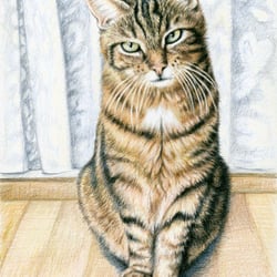 Farbstift, Zeichnung by Nicole Zeug, nicolezeug.de